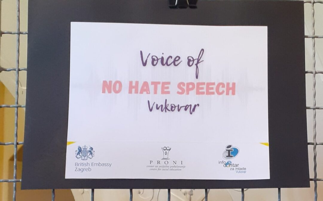 Projekt „Voice of no hate speech“